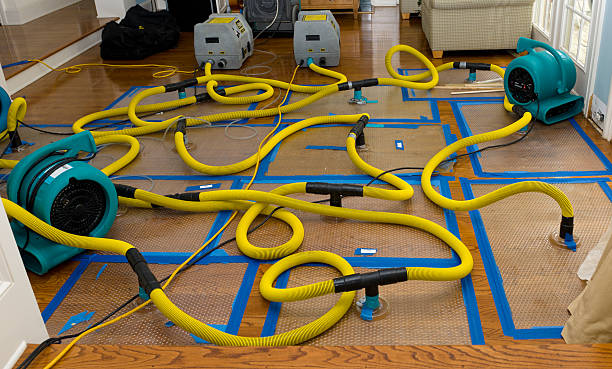 Professional Crawl Space Water Removal technician working in Mosinee, WI